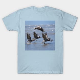 Brown Pelicans Take Flight T-Shirt